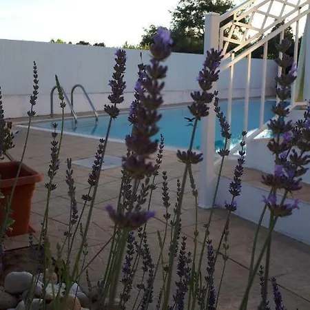Πανσιόν Carpe Diem